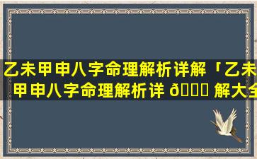 乙未甲申八字命理解析详解「乙未甲申八字命理解析详 🐋 解大全」